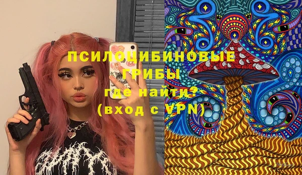 молекула духа Весьегонск