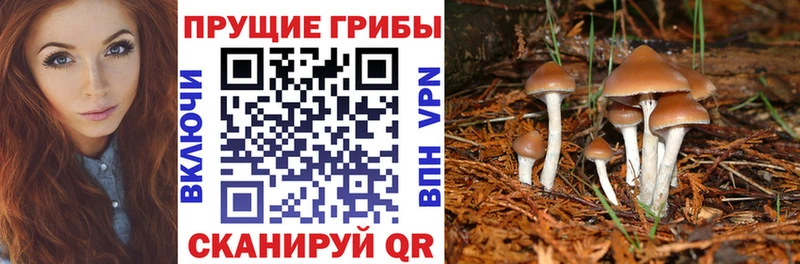 дарнет шоп Кстово гидра зеркало Галлюциногенные грибы мухоморы