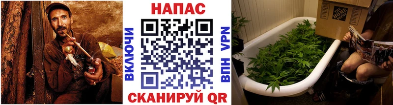ссылка на мегу рабочий сайт  Кстово  Бошки Шишки Bruce Banner 
